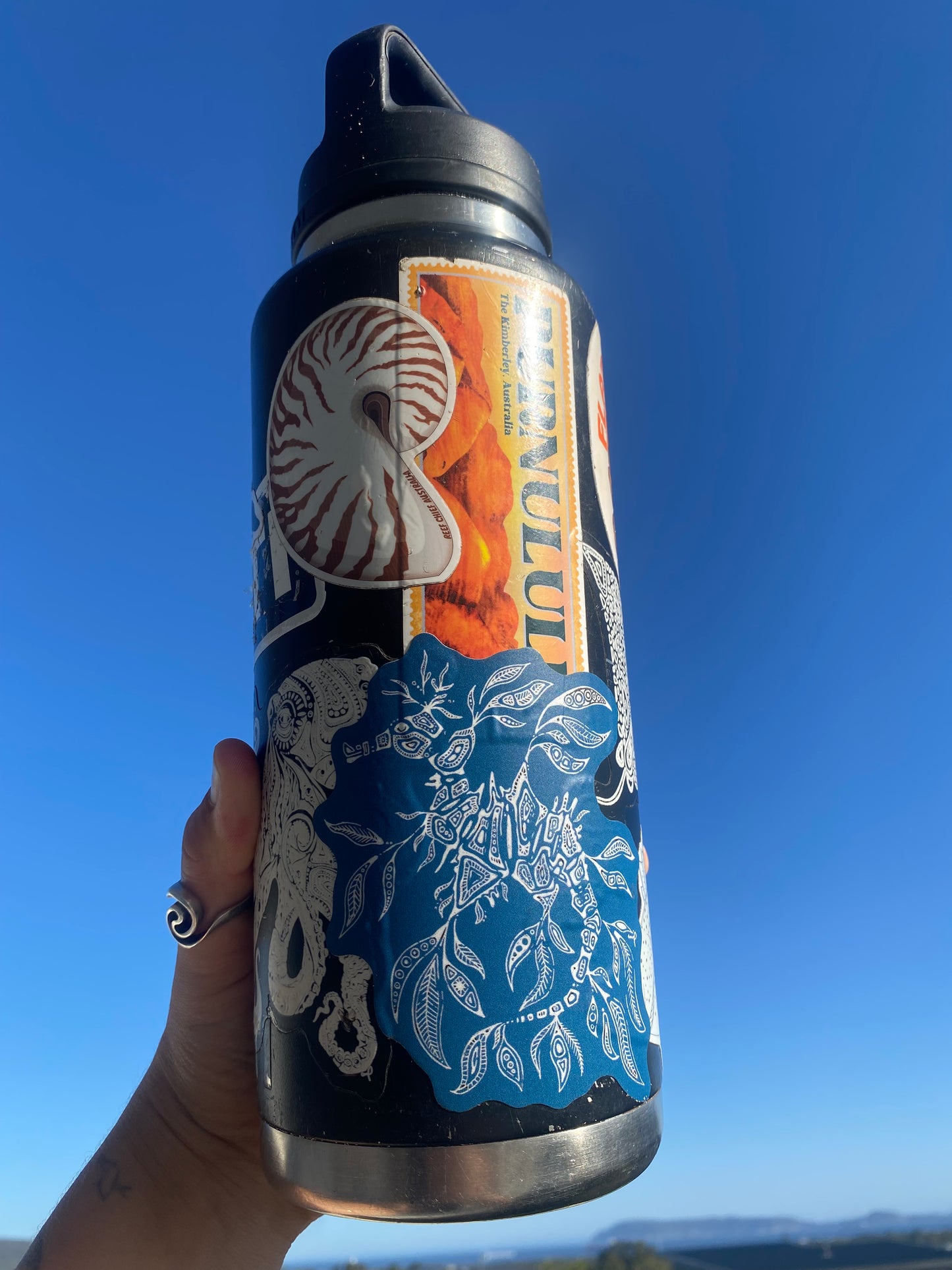 Leafy Sea Dragon Sticker